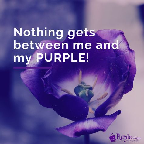 The Colour Purple, Purple Quotes, Purple Vibe, Lets Talk, Color Quotes, Friendship Quotes Funny, Purple Reign, Purple Colour, Purple Love