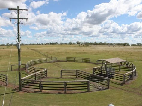 Equine Facility, Cattle Corrals, Horse Pens, Dream Ranch, Livestock Shelter, Horse Farm Ideas, Stable Ideas, Paddock Paradise, Horse Arena