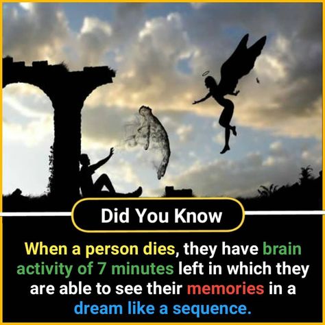 Paranormal Facts, Physcology Facts, Wierd Facts, Physiological Facts, Psychological Facts Interesting, Interesting Science Facts, Biology Facts, Facts About World, Brain Facts