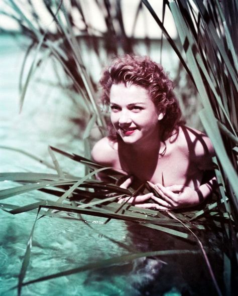 Ann Baxter, 1940s Actresses, Anne Baxter, Skins Uk, Hollywood Boulevard, 20th Century Fox, Vintage Film, Hollywood Walk Of Fame, Walk Of Fame