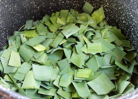 Iris leaves as a source of paper and pigment – Threadborne Geranium Leaves, Eco Dyeing Fabric, Making A Book, Tinta Natural, Somerset Studio, Diy Dye, Soda Ash, Painting Fabric, Natural Dye Fabric