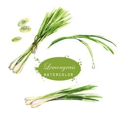 Herbs Illustration, Image Nature, Scented Oils, Natural Food, Lemon Grass, Restaurant Design, Fragrance Oil, Plant Leaves, Stock Illustration