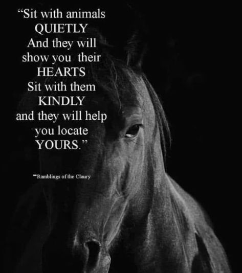 "Sit with animals QUIETLY And they will show you their HEARTS Sit with them KINDLY and they will help you locate YOURS." Ramblings of the Claury – popular America’s best pics and videos on the site https://americasbestpics.com Inspirational Horse Quotes, Horse Riding Quotes, Equestrian Quotes, Cowgirl Quotes, Riding Quotes, Country Girl Quotes, Horse Quotes, Cute Horses, Pretty Horses