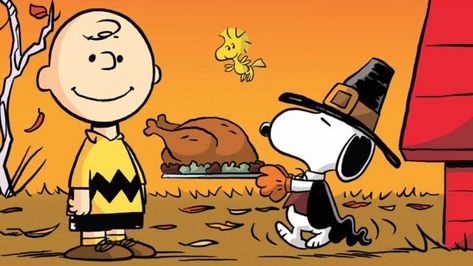 Thanksgiving Charlie Brown, Thanksgiving Snoopy, Peanuts Thanksgiving, Thanksgiving Cartoon, Happy Thanksgiving Images, Charlie Brown Thanksgiving, Thanksgiving Wall Art, Thanksgiving Photos, Thanksgiving Pictures