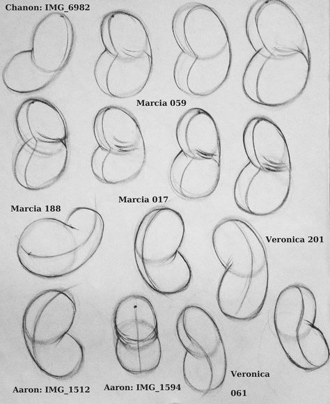 Easy Drawing Anatomy, Bean Body Tutorial, Bean Drawing Technique, Torso Bean Method, Bean Bag Drawing Reference, Bean Method Art, Bean Body Drawing, Bean Method Anatomy, Art Fundamentals Shapes