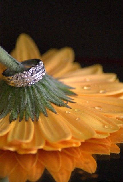 Wedding Ring Photography, Wedding Ring Shots, Ring Photography, Sunflower Themed Wedding, Creative Jewelry Photography, Jewelry Photography Styling, Wedding Rings Photos, Ring Shots, Beautiful Wedding Rings