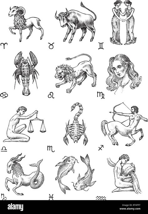 Outline Animals, Zodiac Icons, Zodiac Constellation Art, Zodiac Signs Colors, Scorpio And Capricorn, Capricorn Tattoo, Zodiac Sign Tattoos, Zodiac Tattoos, Zodiac Tattoo