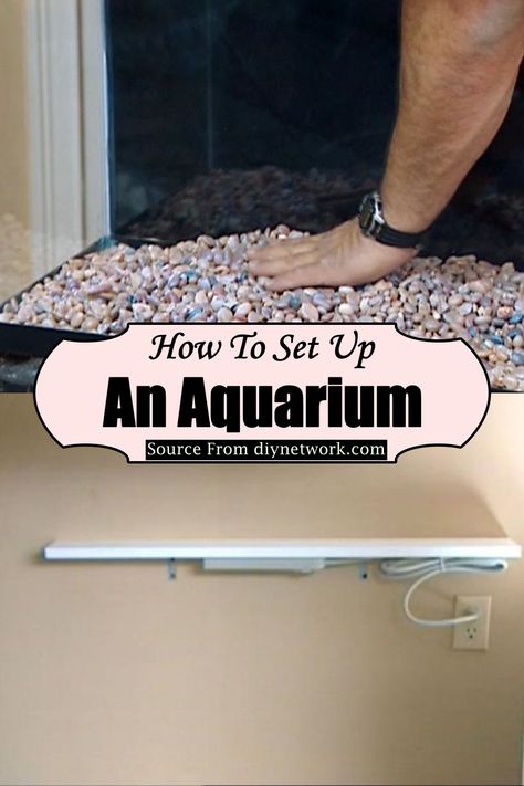 22 DIY Aquarium Projects That Are Full Of Creativity - DIYsCraftsy 75 Gallon Aquarium Ideas, 55 Gallon Fish Tank Ideas, Diy Aquarium Ideas, Homemade Aquarium, 29 Gallon Aquarium, 75 Gallon Aquarium, 55 Gallon Aquarium, Aquarium Coffee Table, Large Fish Tanks