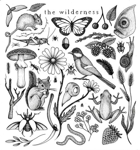 the wilderness flash sheet 🐞 I want to step up my dotwork game. If you want to get a tattoo of any of these pieces for cheap prices, hit me… Bug Patchwork Tattoo, Botanical Patchwork Tattoo, Paris Paloma, Ignorant Tattoo, Wilderness Tattoo, Tattoos Creative, Tattoo Sleeve Filler, Nature Tattoo Sleeve, Tattoo Filler