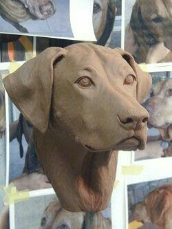 Clay Dogs, Clay Dog, Pottery Animals, Sculpture Art Clay, Sculptures Céramiques, Dog Sculpture, Clay Animals, Ceramic Animals, Clay Art Projects