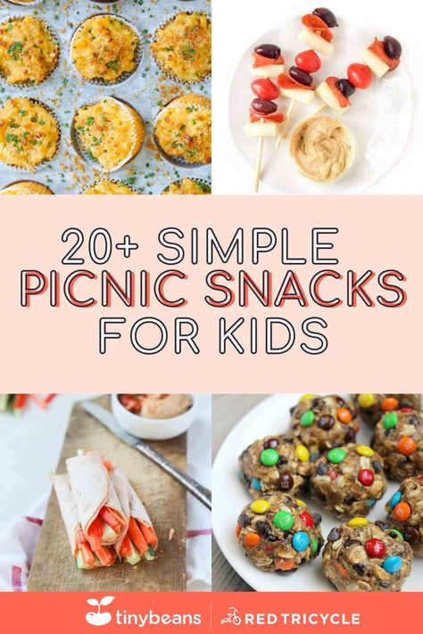 Picnic Snacks For Kids, Easy Picnic Snacks, Picnic Food Kids, Kids Picnic Foods, Cold Picnic Foods, Picnic Finger Foods, Picnic Appetizers, Gourmet Picnic, Simple Picnic