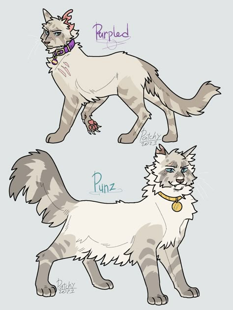 Cat Drawing Ideas, Warrior Cats Funny, Warrior Cats Comics, Warrior Cats Books, Warrior Cats Fan Art, Warrior Cat Drawings, Warrior Cat Oc, Cat Oc, Cat Reference