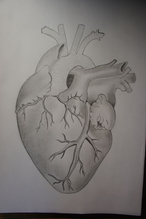 real heart Ballet Wallpaper, Sketch Videos, Pencil Sketch Images, Pencil Shading, Anatomical Heart, Boys Wallpaper, Love Illustration, Metal Heart, Pencil Sketch