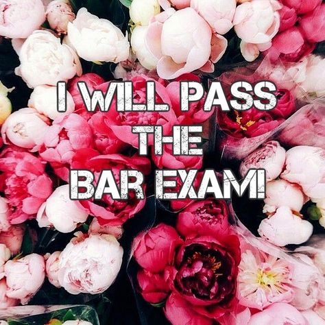 I will pass the bar exam Pass The Bar Exam Motivation, I Will Pass The Bar Exam, I Passed The Bar Exam, Bar Prep Motivation, Bar Exam Motivation, Passing The Bar Exam, Pass The Bar Exam, Exam Pictures, Bar Exam Prep