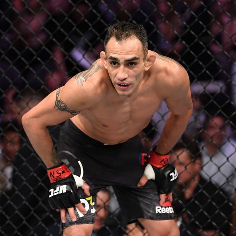 El Cucuy, Tony Ferguson, Boxer Aesthetic, Liverpool Team, Karate Martial Arts, Ufc Fighters, Mma Boxing, Emotional Photography, Combat Sports