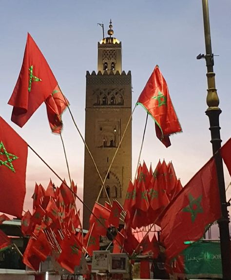 Moroccan Flag, Video Islam, Moroccan Aesthetic, Moroccan Culture, Casablanca, Beautiful Images, Morocco, Flag, Collage