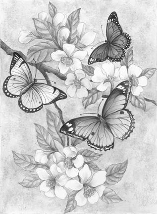 Butterfly Tree Branch collage  gray scale drawing Gray Scale Drawing, Butterfly Sleeve Tattoo, Tree Branch Tattoo, Butterfly Tattoo Stencil, Branch Drawing, Photography Sketchbook, Monochromatic Art, Stippling Art, Butterfly Tree