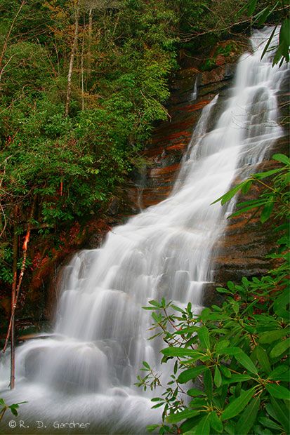 Red Fork, Tennessee Road Trip, Waterfall Pictures, Tennessee Travel, Waterfall Photography, Beautiful Waterfalls, Green Trees, Beautiful Places To Visit, Lush Green