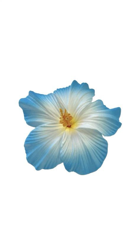 Hibiscus Flower Black Background, Blue Wallpaper Flower, Aesthetic Fleur, Hibiscus Flower Wallpaper, Flores Wallpaper, Blue Flowers Background, Graphic Design Text, Photo Bleu, Blue Flower Wallpaper