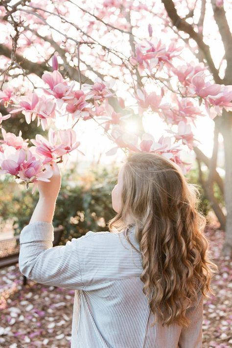 Magnolia Blossom Photoshoot // Auburn, Alabama Cherry Photoshoot, Cherry Blossom Photoshoot, Blossom Photoshoot, Cherry Blossom Pictures, Blossom Cherry, Auburn Alabama, Spring Portraits, Spring Photoshoot, Flower Photoshoot