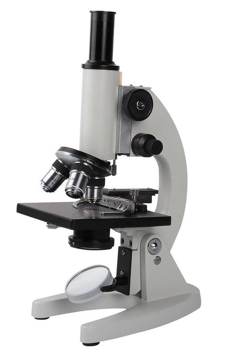 Microscope Pictures, Pocket Microscope, Concave Mirrors, Microscopic Photography, Basic Anatomy And Physiology, Science Tools, Biology Art, App Background, Microscopes