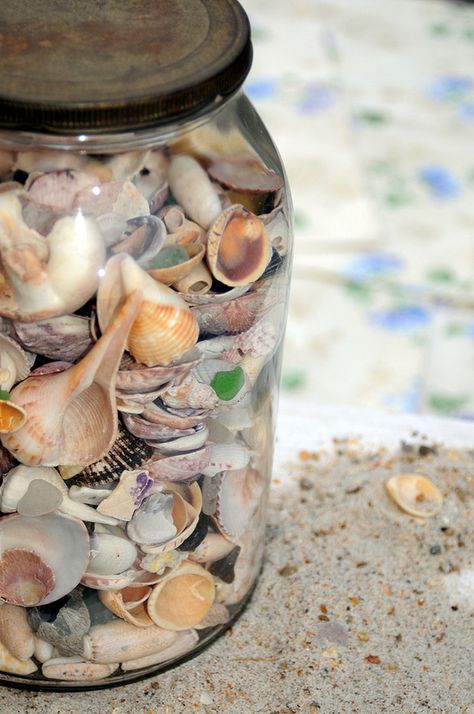 Who didn't have a jar of shells, at one time or another? Jar Of Shells Aesthetic, Seashells In A Jar, Jar Of Shells, Shell Jar, Ocean Things, Tricia Guild, Big Jar, Space Bags, Cottage By The Sea