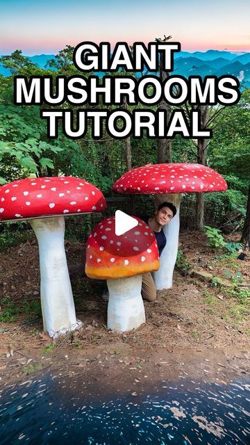 Isaac Alexander on Instagram: "Let’s make GIANT mushrooms! Why? Cause why not?!? 😌🙂‍↔️🍄🍄🍄 YouTube tutorial link in bio! #mushrooms #diy #summerween #mushroomDIY #foryou #trending #fairy #diy" Fairy Garden Pathways, How To Make A Giant Mushroom, Diy Giant Outdoor Mushrooms, Diy Large Mushrooms For Yard, How To Make Giant Mushrooms, Yard Mushrooms Diy, Mushroom Props Diy, Concrete Mushrooms Diy Yard Art, Making Mushrooms