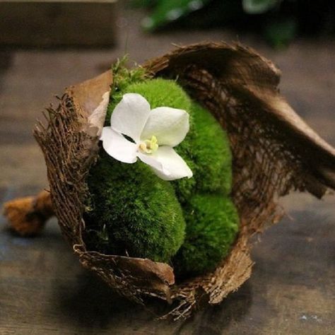 Moss Bouquet, Flower Bar, Paper Ring, Grapevine Wreath, Grape Vines, Wedding Inspo, Flower Power, Floral Arrangements, Wedding Flowers