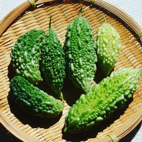 May 8th is Goya Day in Okinawa! 😁 Goya, or bitter melon, is an Okinawan vegetable often used in the local stir fry dish chanpuru. This date was picked because the numbers 5 and 8 can be pronounced as "go" and "ya" respectively. 💚 Goya Vegetable, Okinawan Culture, Okinawan Food, Okinawa Food, Culture Project, Stir Fry Dishes, Bitter Melon, Okinawa Japan, Paint Ideas