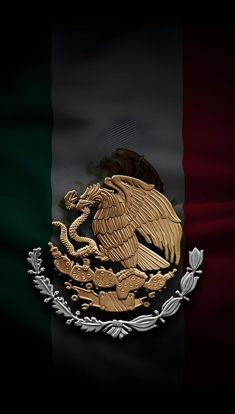 Mexican Flag Eagle, Flags Of Different Countries, Mexican Heroes, Camoflauge Wallpaper, Aztec Warrior Tattoo, Flag Of Mexico, Mexico Wallpaper, Aztec Artwork, Aztec Wallpaper