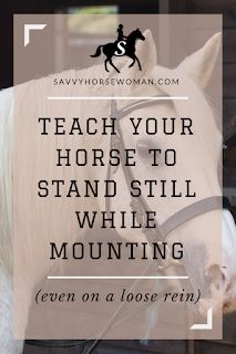 Train your Horse to Stand Still While Mounting | Horse Training Tips | Savvy Horsewoman Horse Training Quotes, Gait Training, Dressage Exercises, Horse Training Exercises, Horse Information, Riding Tips, Training Quotes, Diy Horse, Horse Exercises