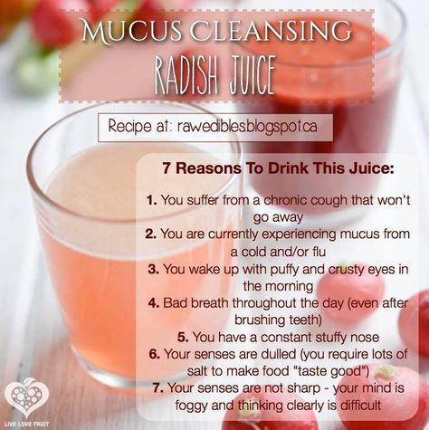 Ingredients: - 2 bunches of radishes (or 2 cups daikon radish - any type of radish will work) - 2 apples - 6 stalks celery - 3 inches ginger root - 1 lemon  Juice the above ingredients in a juicer Radish Juice Recipe, Health Benefits Of Radishes, Coconut Health Benefits, Benefits Of Coconut Oil, Food Additives, Juicing For Health, Juice Cleanse, Radishes, Health Blog