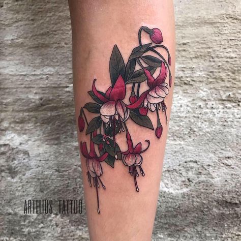 Fuscia Flower Tattoo, Fuschia Tattoo Design, Fuschia Flower Tattoo, Fuchsia Flower Tattoo, Fushia Tattoo, Fuschia Tattoo, Fuchsia Tattoo, Fuchsia Flower, 3 Tattoo