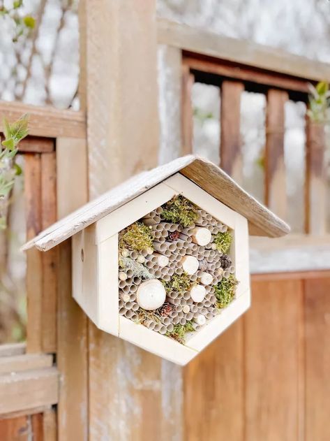 Mason Bee House Diy, Mason Bee House, Cool Things To Build, Bee Houses, Bird Houses Ideas Diy, Bee Hotel, Bug Hotel, Insect Hotel, Brad Nailer