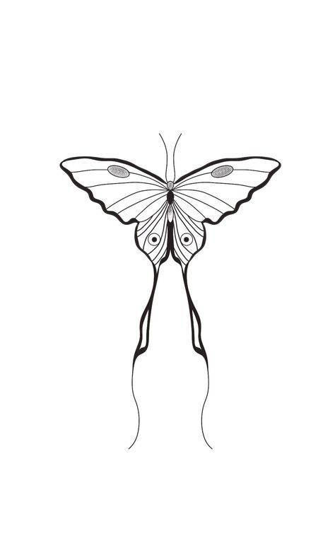 Moth Line Art, Mariposas Tattoo, Butterfly Stencils, Calf Tattoos For Women, Luna Moth Tattoo, Borboleta Tattoo, Funky Tattoos, Butterfly Stencil, Getting A Tattoo