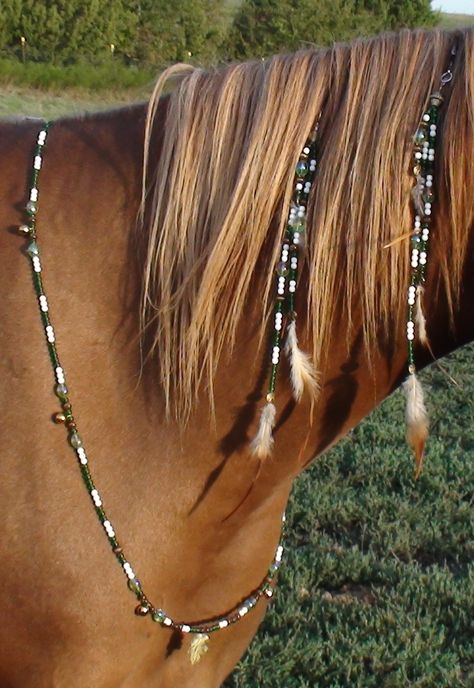 Horse Hairstyles, Horse Braids, Horse Mane Braids, Bling Horse Tack, Horse Hair Braiding, Horse Halloween Costumes, Horse Braiding, Native American Horses, Horse Hair Bracelet