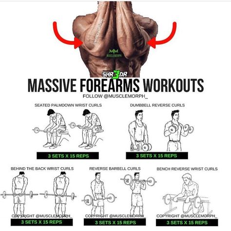 Want MASSIVE Forearms? Try this workout 👆🏻SAVE it so you can use it at the gym👆🏻LIKE and FOLLOW @musclemorph_ for more exercise & nutrition tips 💪🏻TAG A GYM BUDDY . Try it along MuscleMorph's Most Electrifying Pre Workout SHR3DR, you wont regret it! 💪🏻 click the link in our bio to get yours today @musclemorph_ ➡MuscleMorphSupps.com #MuscleMorph Chest Workout For Men, Exercises For Men, Forearm Workout, Gym Antrenmanları, Arm Exercises, Gym Workout Chart, Step Workout, Workout Posters, Pencak Silat