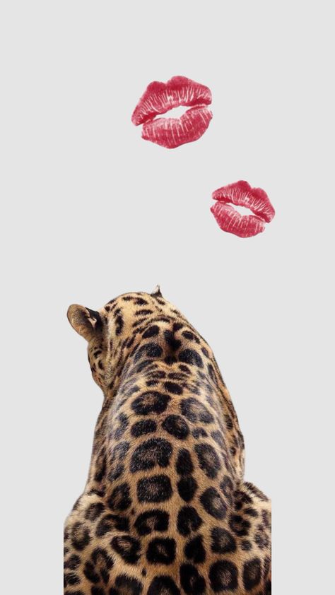 Leaped Print Wallpaper, Leopard Wallpaper Aesthetic, Vogue Wallpaper, Leopard Print Wallpaper, Cheetah Print Wallpaper, Cute Pregnancy Pictures, Cute Lockscreens, Leopard Face, Cute Summer Wallpapers