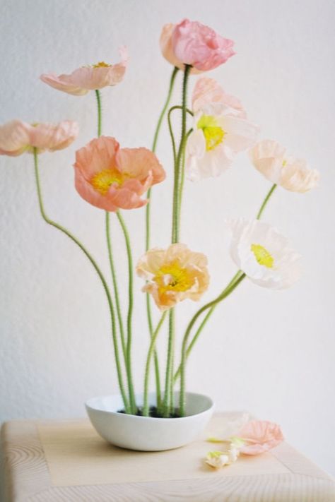 Ikebana arrangement with Icelandic Poppies for a spring wedding. Harvest and growing tips for Italian bred Colibri poppies. Flower Frog Wedding, Frog Pin Arrangement, Floral Frog Arrangement, Spring Floral Arrangements Centerpieces, Frog Flower Arrangement, Bridal Era, Ikebana Arrangement, Clovis California, Icelandic Poppies