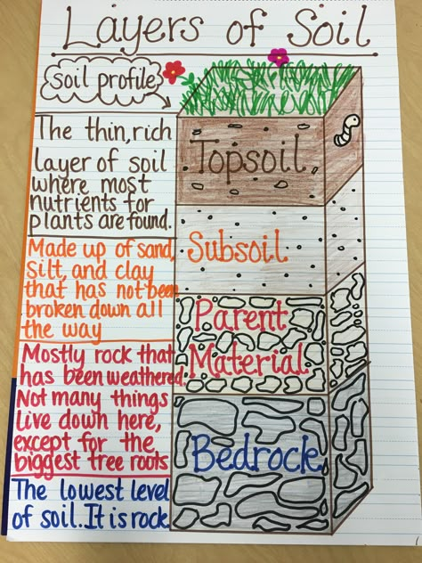 Layers of Soil Anchor Chart Soil Anchor Chart, Anchor Charts Science, Elementary Anchor Charts, Science Activities For Elementary, Layers Of Soil, Biology Teaching, Grade 3 Science, Ag Education, Science Anchor Charts