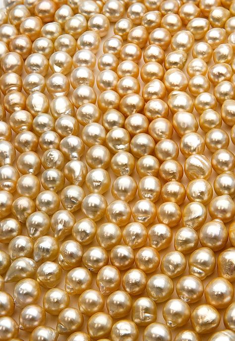 Golden South Sea Baroque Pearls All That Glitters Is Gold, Pearl Love, Wear Pearls, Golden South Sea Pearls, Gold Aesthetic, International Jewelry, Pearl And Lace, Golden Girl, Jewelry Show