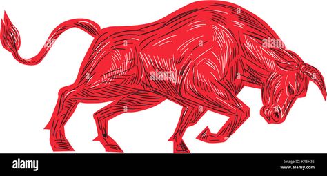 Download this stock image: Bull Charging Drawing - KR6H36 from Alamy's library of millions of high resolution stock photos, illustrations and vectors. Bull Sketch, Bull Charging, Charging Bull, Taurus Love, Line Sketch, A Bull, Sketch Style, Sketch Illustration, Banner Printing