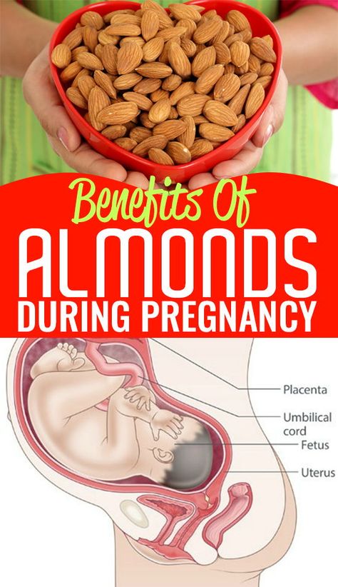 Pregnancy Chart, Healthy Pregnancy Diet, Healthy Pregnancy Food, Soaked Almonds, Almond Benefits, Pregnancy Hacks, Healthy Pregnancy Tips, Best Fat Burning Foods, Pregnancy Nutrition