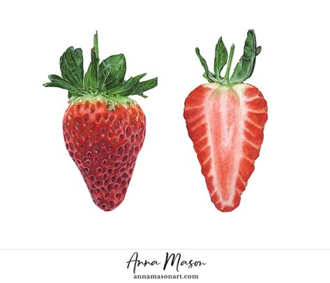 Dissected Strawberry - Anna Mason Art Watercolor Realism, Strawberry Tattoo, Anna Mason, Watercolor Tips, Toni Morrison, Watercolor Fruit, Vibrant Watercolor, Strawberry Fields, Botanical Watercolor