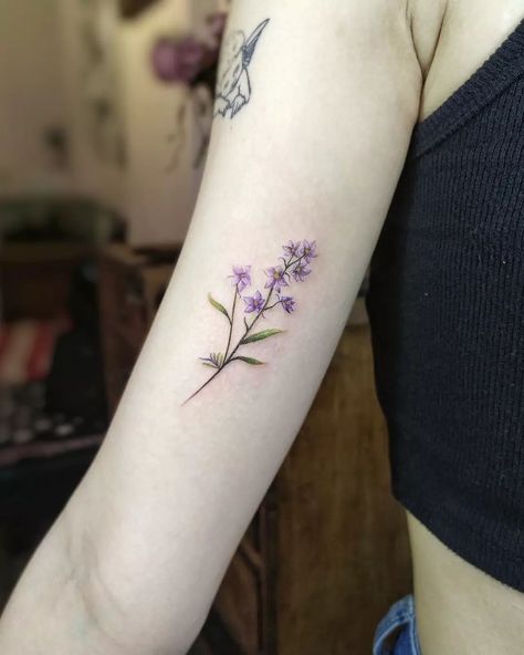 awesome 25 Aesthetic Larkspur Tattoo Rose Larkspur Tattoo, Fineline Larkspur Tattoo, Larkspur Flower Tattoo Color, K9 Tattoo, Larkspur Flower Tattoo, Larkspur Flower Tattoos, July Birth Flower Tattoo, Larkspur Tattoo, 25 Aesthetic