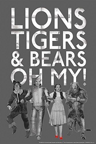 Wizard Of Oz Lion, Wizard Of Oz Movie, Fun Typography, Pocket Folder, The Wizard Of Oz, Typography Graphic, The Wizard, Metal Art Prints, Wizard Of Oz