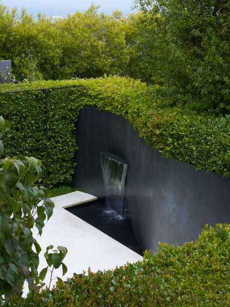 Hedge Ideas, Privacy Hedge, Evergreen Garden, Garden Privacy, Modern Landscape Design, Modern Garden Design, Garden Architecture, Wall Fountain, Water Features In The Garden