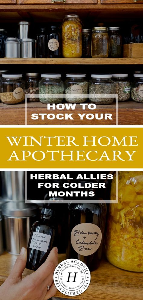 Home Apothecary, Herbal Academy, Slippery Elm, Herbal Recipes, Herbal Apothecary, Natural Healing Remedies, Herbal Healing, Winter Home, Homemade Remedies