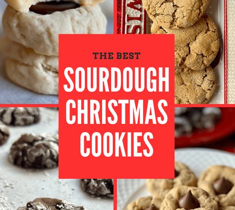 Sourdough Christmas, Sourdough Starter Discard Recipe, Baking Items, Cinnamon Chips, Sourdough Discard, Caramel Pecan, Peanut Butter Cookie Recipe, Crinkle Cookies, Chocolate Chunk Cookies