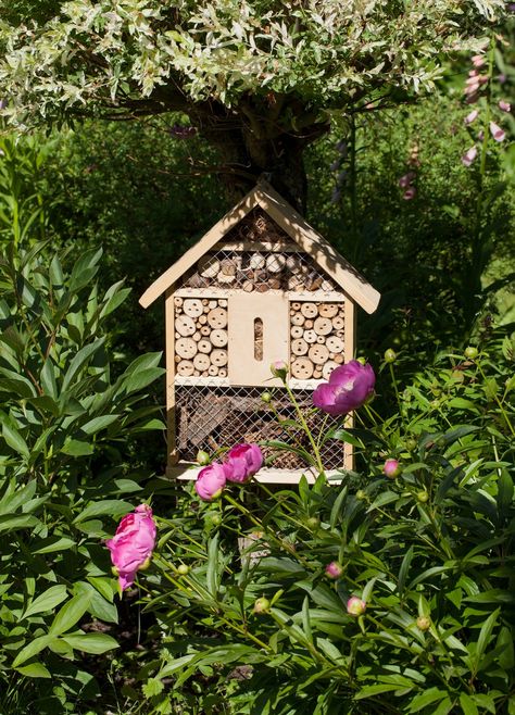 Pollinator Garden: How to Create a Paradise in 9 Steps | Architectural Digest Front Yard Pollinator Garden, Yellow Lantana, Diy Baby Room Decor, Gym Center, Baby Boy Room, Boy Room Decor, Bee Hotel, Baby Room Diy, Crochet Monkey